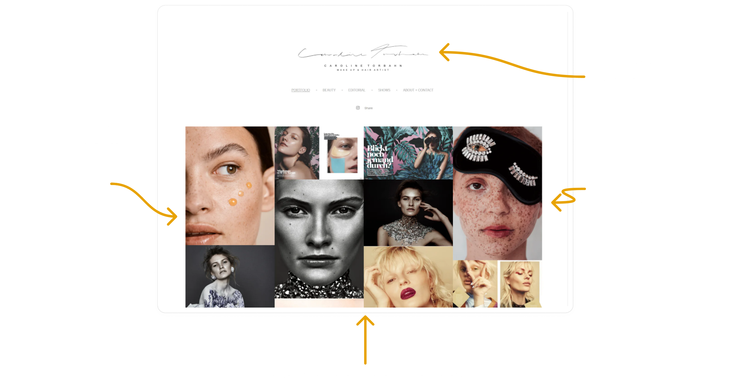 Image of Competitor Digital Portfolio