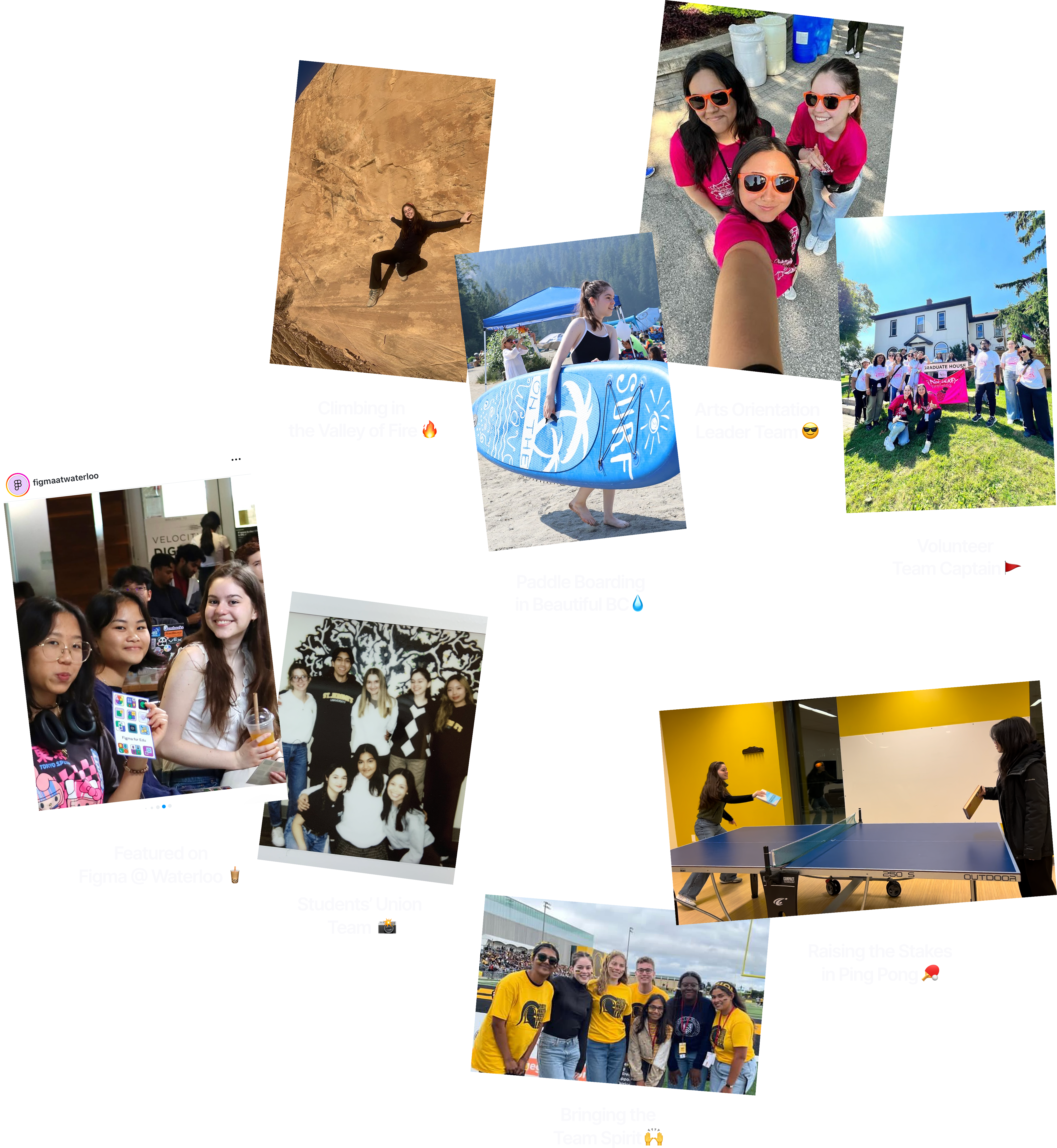 Image Collage of Andreea Volunteering and Hobbies